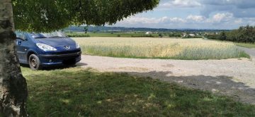 Ausblick von der neuen Bank der CDU Lörzweiler am Königstuhltürmchen